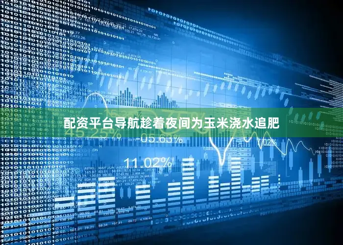 配资平台导航趁着夜间为玉米浇水追肥