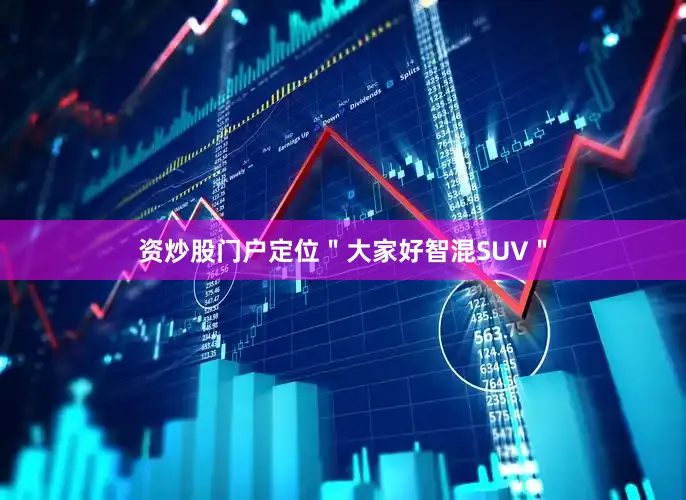 资炒股门户定位＂大家好智混SUV＂